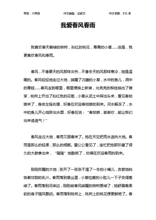 我爱春风春雨作文【小学六年级500字】