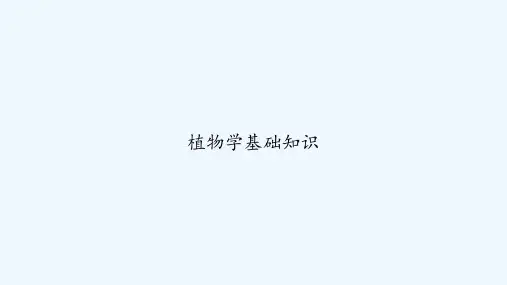植物学基础知识 PPT