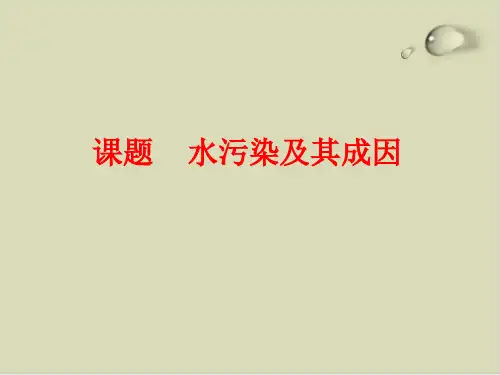 水污染及其成因PPT完美版1