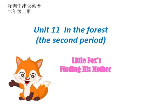 二年级英语      U11 In the forest