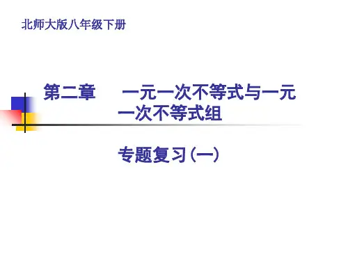 北师大版八年级下册第二章一元一次不等式与一元一次不等式组专题复习(一)课件(共49张PPT)