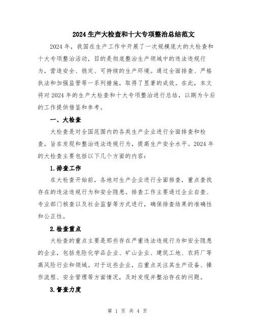 2024生产大检查和十大专项整治总结范文