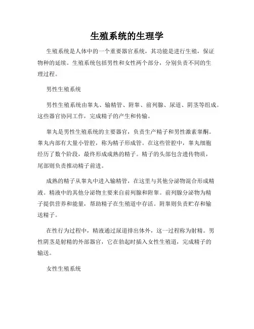 生殖系统的生理学