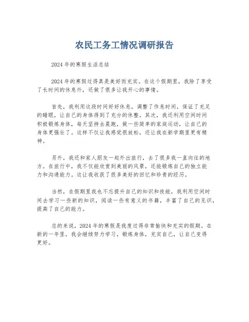 农民工务工情况调研报告