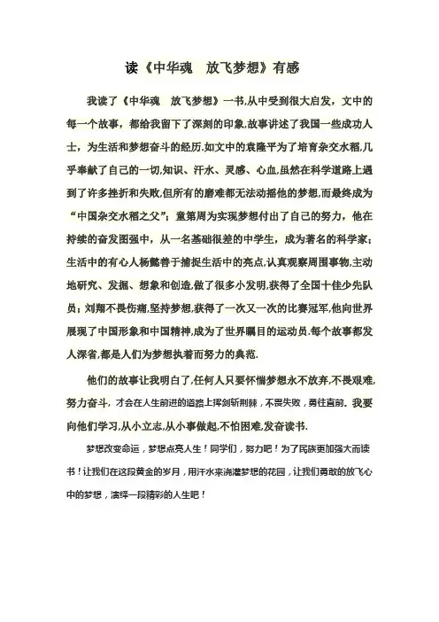 中华魂读后感500字