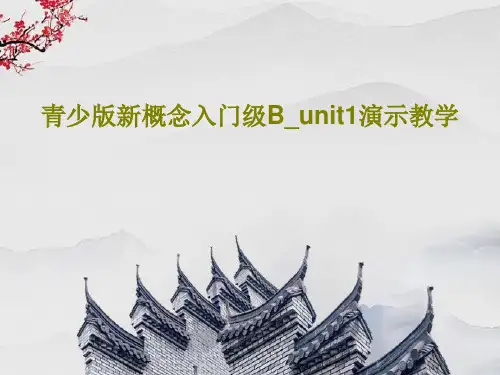 青少版新概念入门级B_unit1演示教学共52页