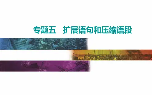 压缩语段【高考】语文专项复习ppt课件