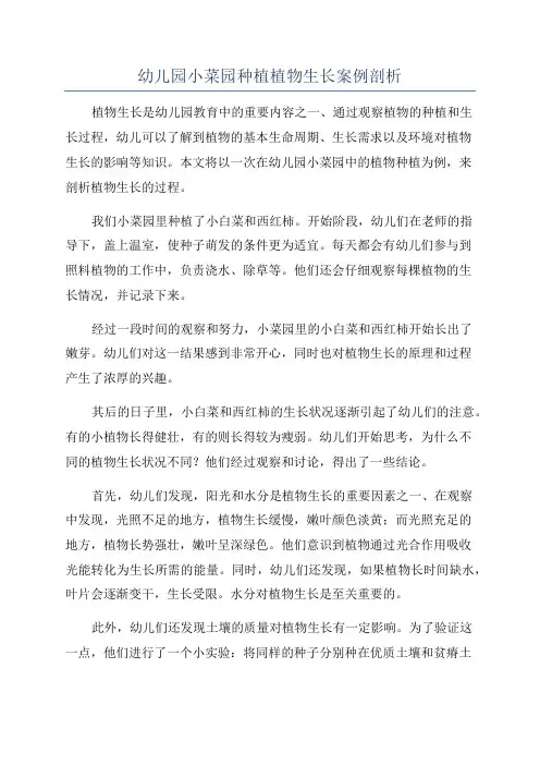 幼儿园小菜园种植植物生长案例剖析