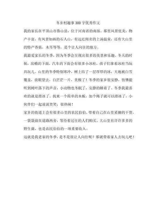 冬乡村趣事300字优秀作文