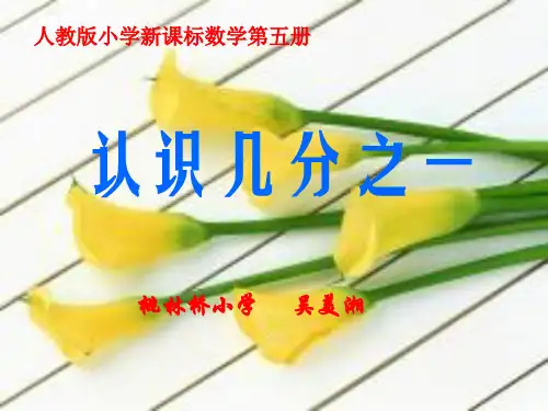 认识几分之一教学PPT课件