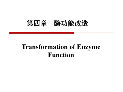 酶工程：第四章 酶功能改造