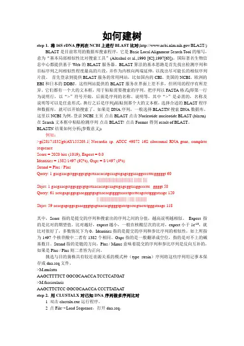 系统发育树构建步骤