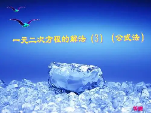 一元二次方程的解法-公式法2