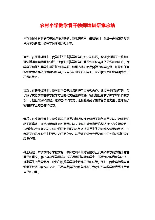 农村小学数学骨干教师培训研修总结