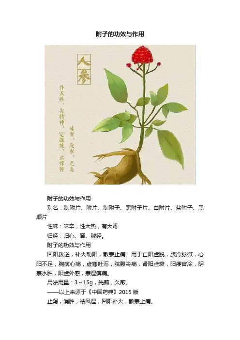 附子的功效与作用
