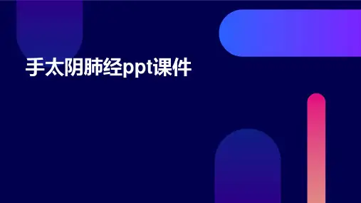 手太阴肺经ppt课件