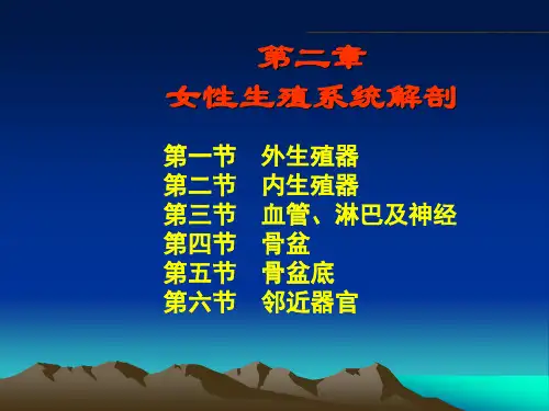 第二章  女性生殖系统解剖
