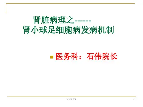 肾小球足细胞病发病机制PPT课件