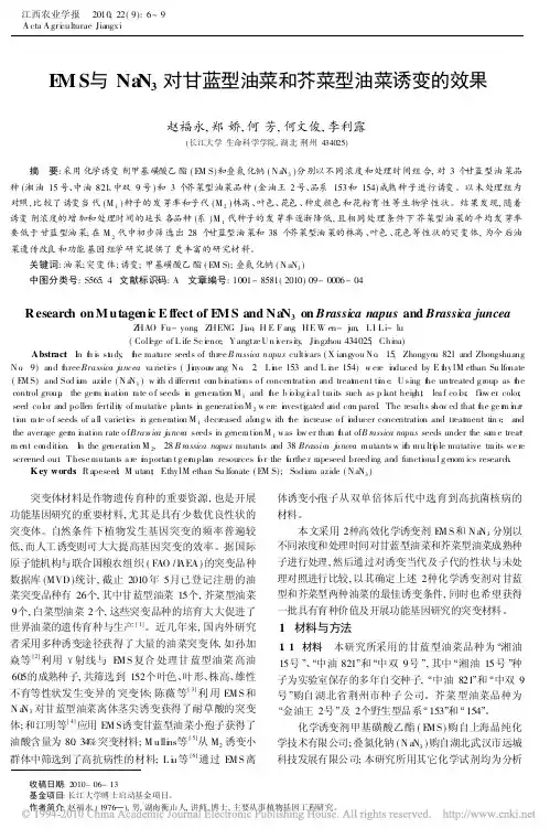 EMS与NaN_3对甘蓝型油菜和芥菜型油菜诱变的效果