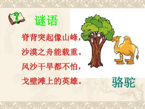 人教版三年级上册《16 找骆驼》PPT