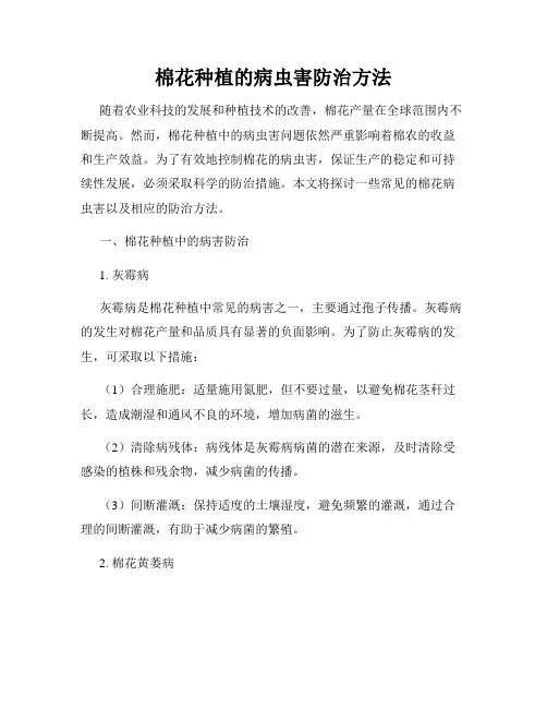 棉花种植的病虫害防治方法