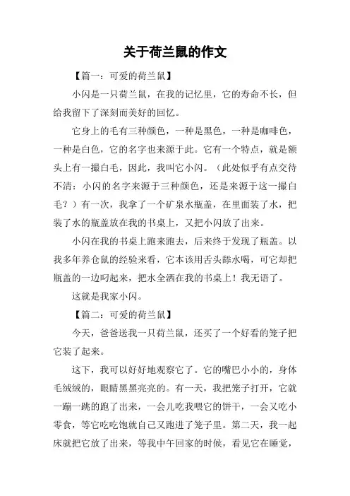关于荷兰鼠的作文