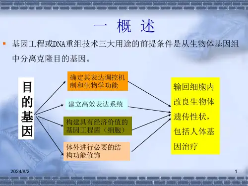 目的基因的制备ppt课件