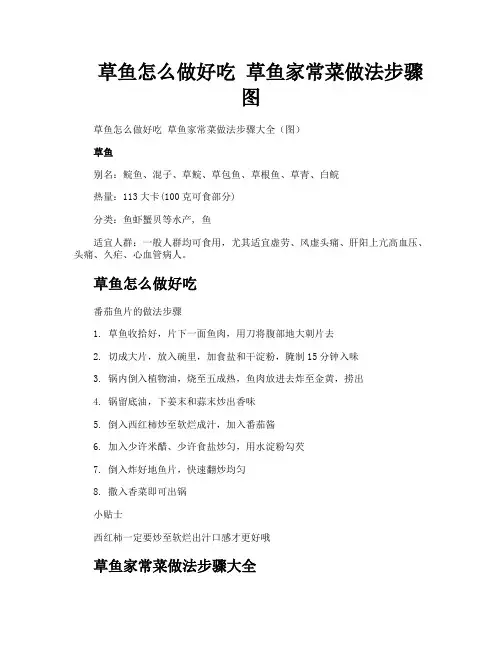 草鱼怎么做好吃草鱼家常菜做法步骤图