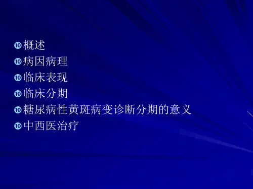 糖尿病性视网膜病变