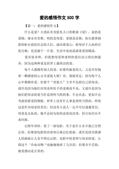 爱的感悟作文500字