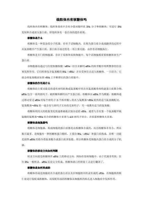 线粒体内有核糖体吗