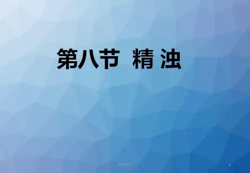 精浊  ppt课件