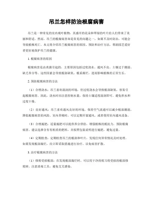吊兰怎样防治根腐病害