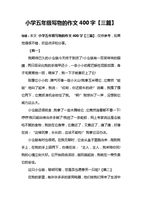 小学五年级写物的作文400字【三篇】