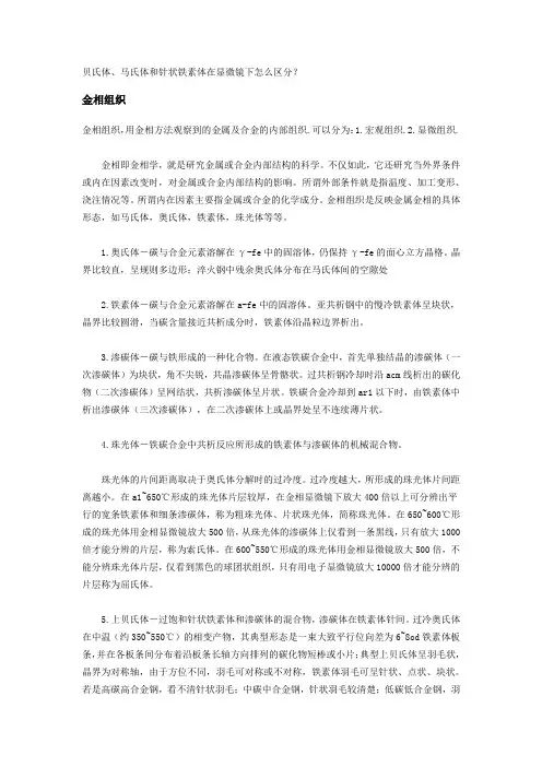 金相组织鉴别