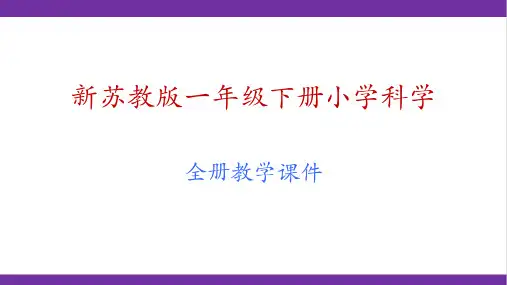 新版教材苏教版一年级下册科学全册教学课件PPT