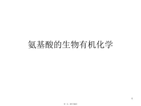 氨基酸的生物有机化学