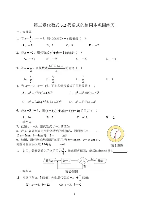 3.2代数式的值+同步巩固练习2024-2025学年人教版数学七年级上册