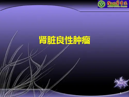 肾脏良性肿瘤ppt课件