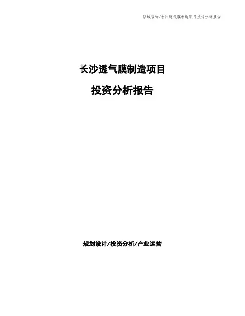 长沙透气膜制造项目投资分析报告