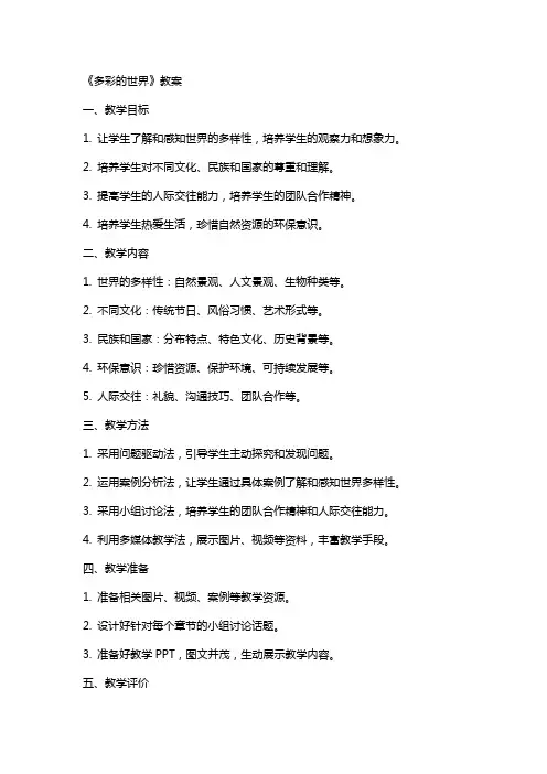 《多彩的世界》教案