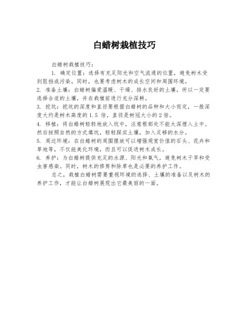 白蜡树栽植技巧