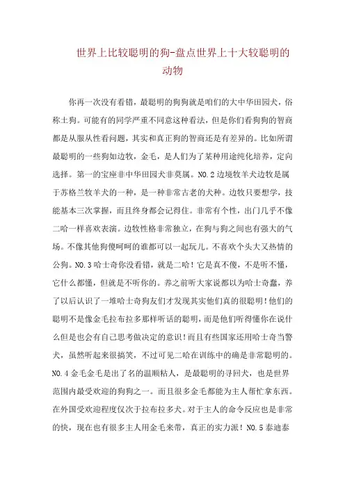 世界上比较聪明的狗-盘点世界上十大较聪明的动物