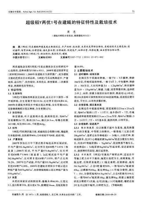 超级稻Y两优1号在建瓯的特征特性及栽培技术