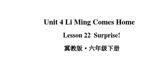 冀教版(三起)英语六年级下册Unit 4 Lesson 22 Surprise课件