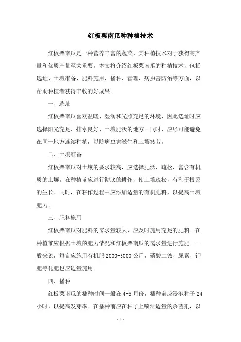 红板栗南瓜种种植技术