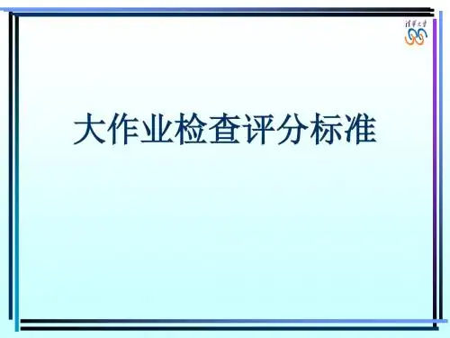 大作业检查评分标准