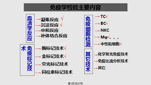 沉淀反应实用PPT课件PPT课件