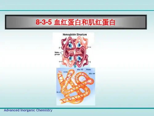 高等无机化学---血红蛋白和肌红蛋白