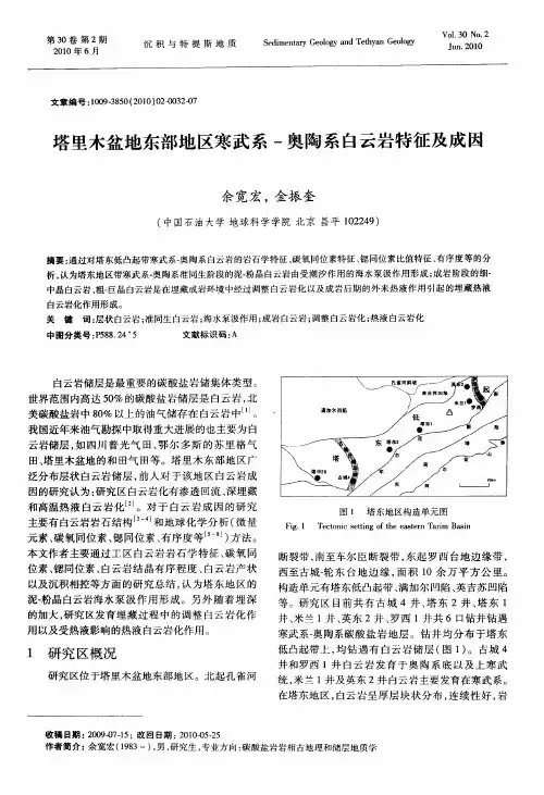 塔里木盆地东部地区寒武系-奥陶系白云岩特征及成因